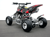 mini quads rear
