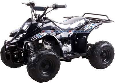 mini atv